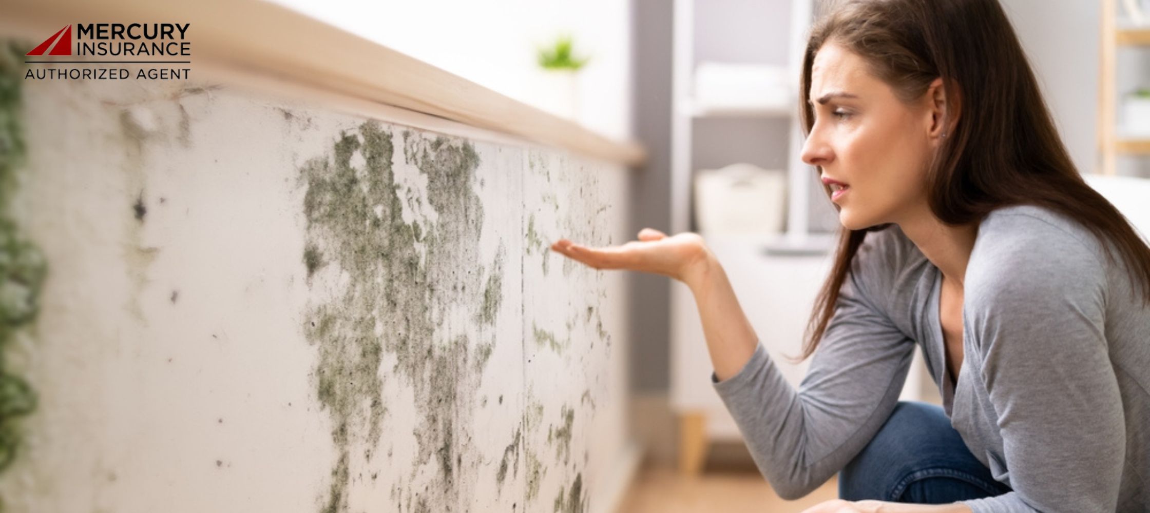 Does Your Homeowners Insurance Include Mold Coverage?
